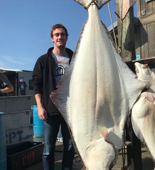 Homer's Finest Halibut: Sea-to-Plate Perfection
