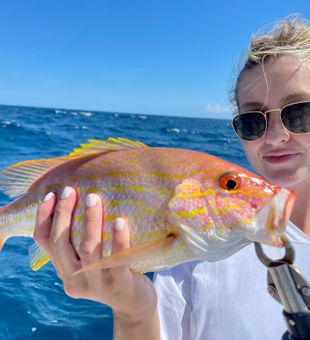 Colorful Lane Snapper success!