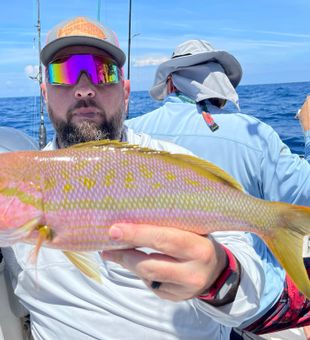 Best Charter Trip! Fishing for Lane Snapper