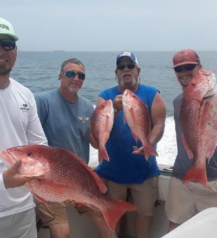 Hooking into a Red Snapper