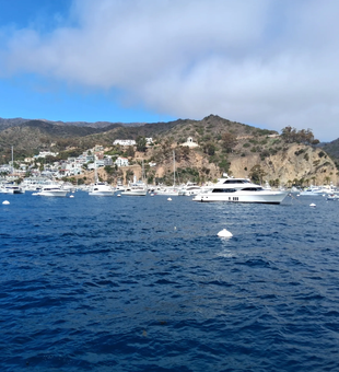 A luxury boat charter California fishing guests enjoy for comfort, space, and stability.