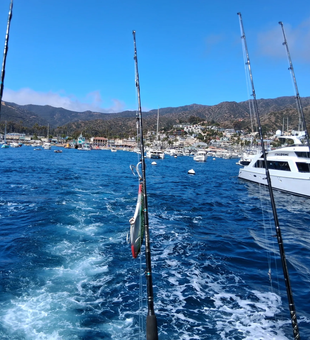 California coastal boat charters that put you on productive fishing grounds quickly.