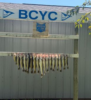 Successful fishing day at Bay City MI!