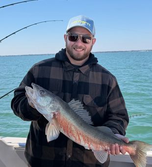 Nice Bay City walleye from today's trip!