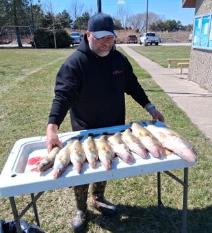 Bay City walleye success on the cleaning table!