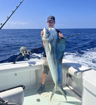 Trophy Mahi mahi caught off Kona coast!