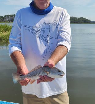 Discover Johns Island’s top fishing adventures.