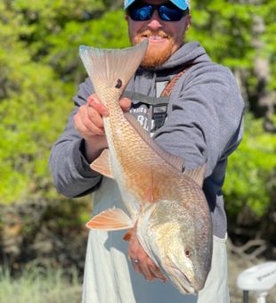 Blue Light Charters