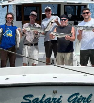Catching striped bass