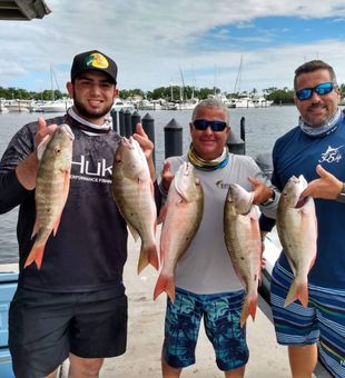 Biscayne Bay Snapper Trip
