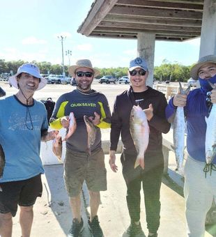 Miami Inshore Fishing for Snapper and Mackerel 