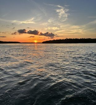 Mangrove fishing trip in Chokoloskee, Florida