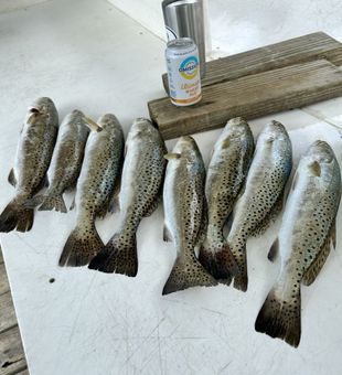 Everglades inshore fishing charter in Chokoloskee