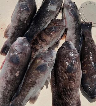 Another great day on the waters of New Jersey.