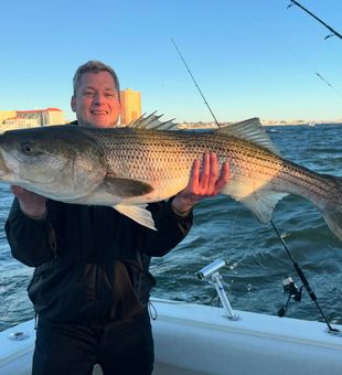 The tug of a striper never gets old. 