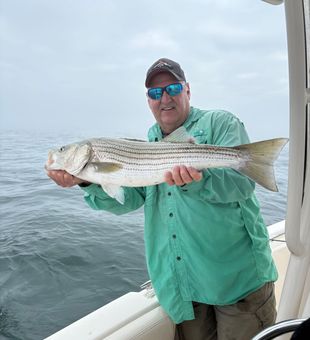 Proud catch with a hefty Striped Bass!