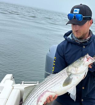 In The Net Sportfishing Cape Cod