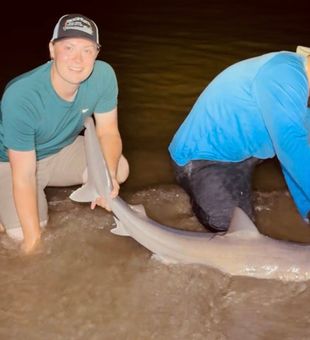 Sand and sharks in Cape May, NJ.