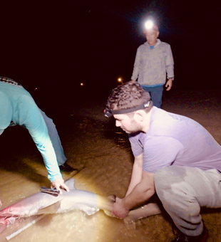 Late night catch inspection on Cape May beach.