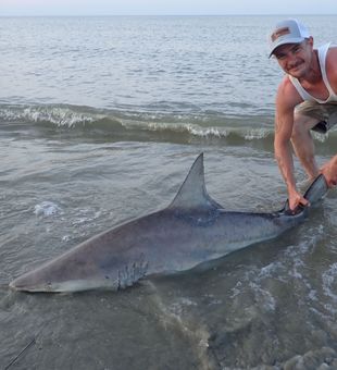Shark Adventures IN Delaware Bay!