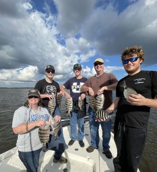 Discover Florida's Coastal Majesty, Sheepshead