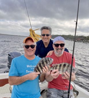 Experience Florida's Inshore Beauty., Sheepshead