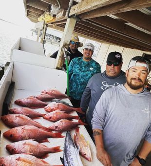 Red Snapper Fever!!