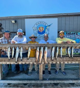 Another great day on the bay!