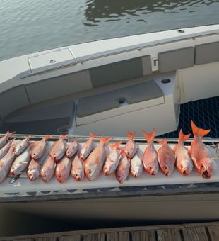 Texas fishing—hook, line, and sinker!