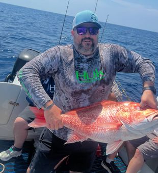 Fighting fish, feeling the thrill! Snapper Fish!