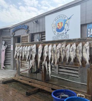 A full day of fishing the coastal waters of Port Aransas.