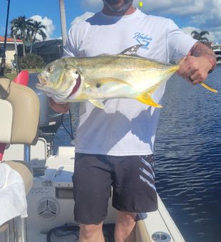 Jack Crevalle catch in Port Charlotte fishing! 