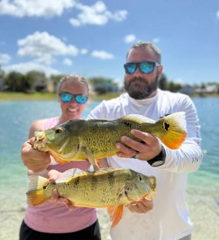 Double peacock bass!