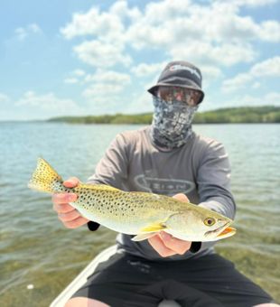 Miami Bites Never Disappoint - Sea Trout