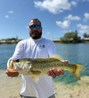 Discover why Miami, Florida is a top destination for bass fishing enthusiasts of all skill levels.