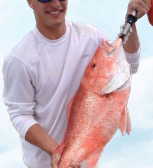 Snapper secrets revealed in Alabama
