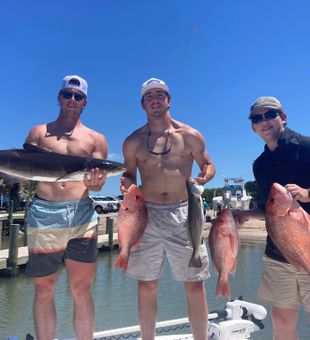 Stacked! Gulf Coast Snapper & Cobia