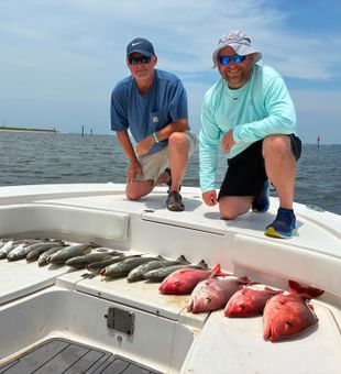 Make memories in Gulf Shores.