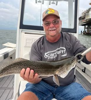Explore the open Gulf waters off Gulf Shores, Alabama and experience one of the top offshore fishing destinations on the Gulf Coast.
