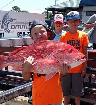 What a catch! Red Snapper galore.