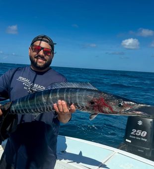 Wahoo on the deck. Time for some sushi.