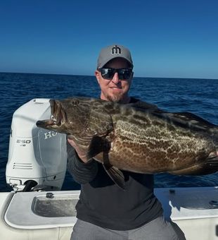 Experience world-class offshore fishing in the waters of Fort Lauderdale.