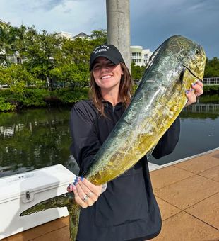 Big game fishing, expert crews, and unforgettable days on the water.