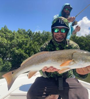 Reeling in a monster Redfish in Ruskin, Florida.