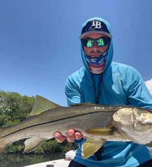 Ruskin FL fishing: The Snook are biting today!