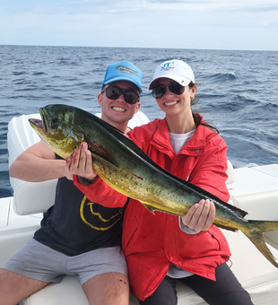 Mahi Mahi In West Palm Beach