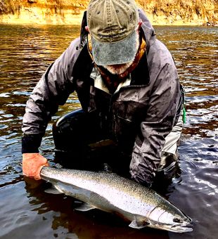 Sandy River Steelhead 