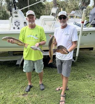 Mixed inshore catch with redfish