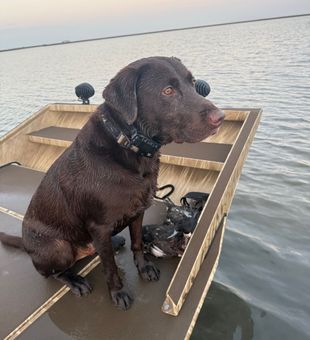 Beaudreux so intense while duck hunting 
