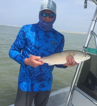Another great catch from Port O'Connor TX waters!